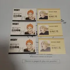 ハイキュー!! 名刺カードコレクション 日向翔陽 ファンパーク B