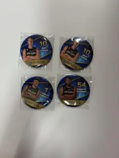 新品未開封 シーホース三河 2024-25 缶バッジ 4個セット