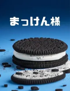 まっけん様専用