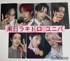 ENHYPEN　トレカ　ラキドロ　来日記念　ユニバ　7枚　コンプ