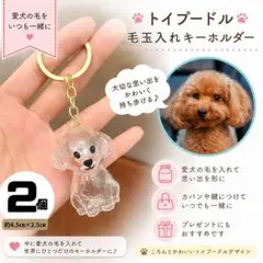 トイプードル　毛玉入れ キーホルダー　2個 犬用 キーホルダー D496のサムネイル