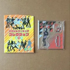 ハイキュー アクリルフィギュアコレクション 第1弾 烏野高校 清水潔子