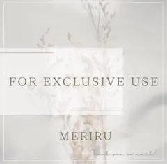 【匿名配送】みずちゃん様専用