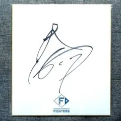 伊藤大海　直筆サイン色紙　日本ハムファイターズ　侍ジャパン　WBC　JAPAN