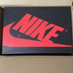 激レア 箱のみ NIKE AIR JORDAN