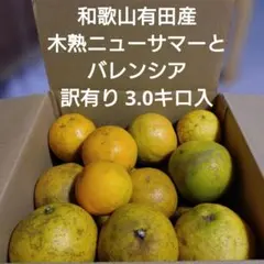 和歌山有田産 ニューサマーとバレンシア 訳有り 3.0キロ 7-2のサムネイル