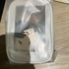 刀剣乱舞　ぽちくじ　陸奥守吉行　A賞　御伴散歩