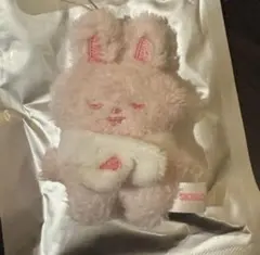 スキズ ペンミ TOY ぬい Leebit リビット リノ - メルカリ