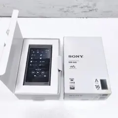 2026年最新】nw-a45の人気アイテム - メルカリ