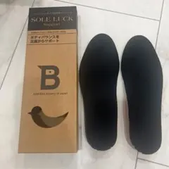 日本野鳥の会 SOLE LUCK インソール 中敷き　SS S美品のサムネイル
