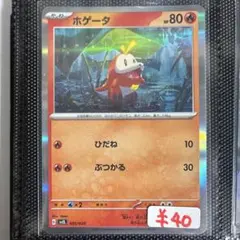 【まとめ買い可】ホゲータ svEL【在庫1】スターターセット