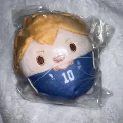 ハイキュー!! くじメイト ぬいくじ ふわコロりん D賞 日向翔陽