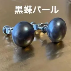黒蝶パールのイヤリング　クロチョウ貝　黒真珠 黒蝶真珠 C