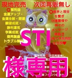 STI様 リクエスト 2点 まとめ商品