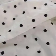 【匿名配送】ドット刺繍生地　綿ローン　2m