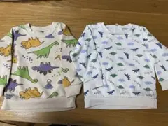 恐竜トレーナー2着セット　100cmのサムネイル