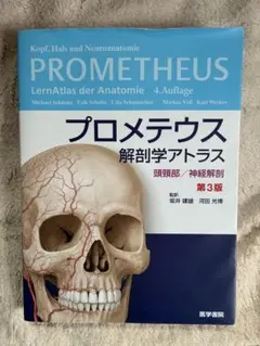 Item thumbnail for item f396289c-0523-4c7e-a2b4-12ef93a61ee9