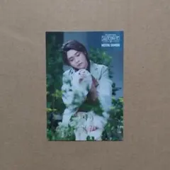 Mrs. GREEN APPLE フォトカード バベル 大森 元貴 008