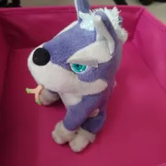 ラピード ぬいぐるみ