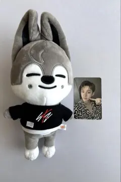 Stray Kids スキズ バンチャン ウルフチャン 済州島 トレカ セット