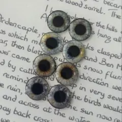 Item thumbnail for item 3db8b17a-b8eb-44e8-81a2-64bbea0f4b66