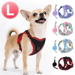 犬 猫 ハーネス リードセット L メッシュ 反射材付 脱げにくい 胴輪 赤×黒のサムネイル