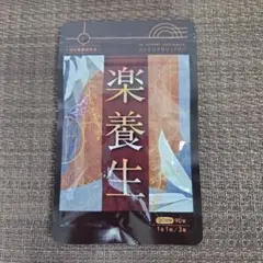 2026年最新】楽養生 30日分の人気アイテム - メルカリ
