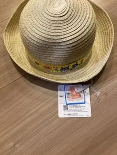 Item thumbnail for item a4c90f08-be07-40d7-9744-e11333bd605d