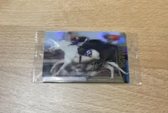 サイン入り ソダシ サラブレッドホースコレクション 吉田隼人 阪神JF