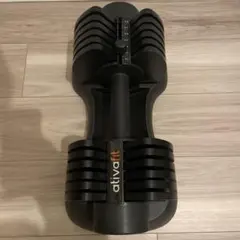 Item thumbnail for item b1579d42-33f5-4b4e-abbf-0f2d8e219df0