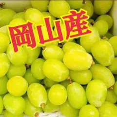 山梨県笛吹市産 シャインマスカット 5房 家庭用 ちゃん♡様専用 クール