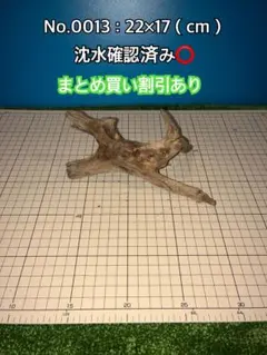煮沸・沈水確認済み】 B24 天然流木 アクアリウム、爬虫類用 - メルカリ