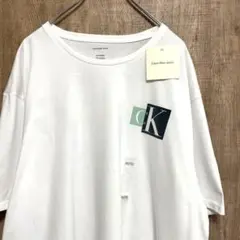 Calvin Klein 【新品未使用】半袖Tシャツ CKロゴ　ホワイト 2XL
