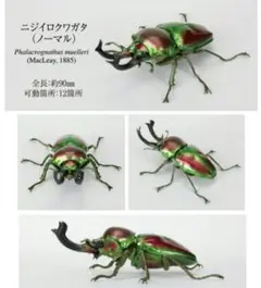ニジイロクワガタ カプセルトイ