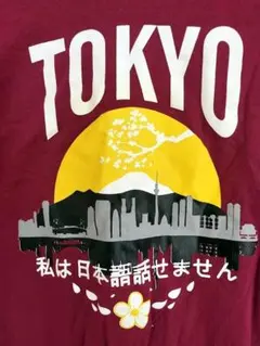 Item thumbnail for item d7581a5b-32c3-4436-a819-6e6f90e051cb