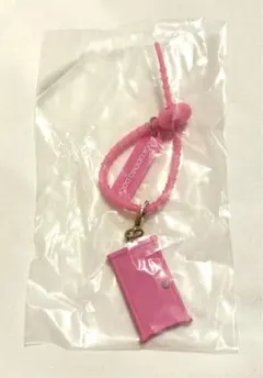 ドラえもん ガシャポン どこでもドア めじるしアクセサリー