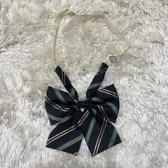 Item thumbnail for item 0738a8fc-65f7-4036-8d28-8ede45b71c8b