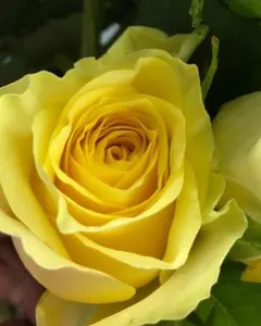 nagu様 リクエスト 3点 まとめ商品