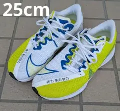 NIKE WSズーム ライバルフライ2 EKIDEN 25cm