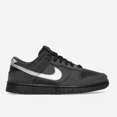 日本未発売Nike Dunk Low Black Metallic Silver