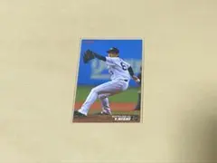 西勇輝　プロ野球チップスカード