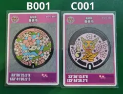 Item thumbnail for item 6f187039-8d62-43e4-9047-ed8e2a2136dd