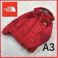 送料無料！ ノースフェイス レアカラー ハイベント ダウン パーカー ブルゾン