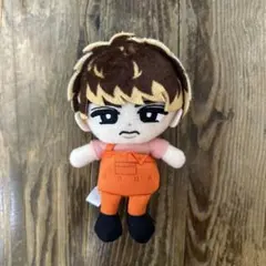 2026年最新】向井康二 ぬいぐるみの人気アイテム - メルカリ