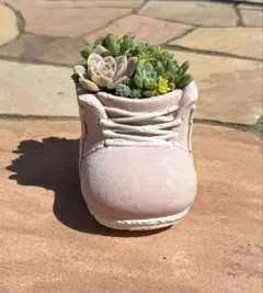 多肉植物 寄せ植え そのまま飾れる٩(ˊᗜˋ*)و♪﻿靴型陶器鉢ピンクSサイズ