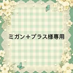 ミガン➕プラス 様　專用