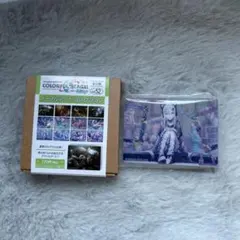 宵崎奏 ノーブルアート52