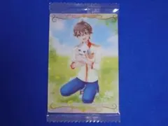 ④N 16 兎山悟＆兎山大福 プリキュア カードウエハース11