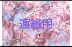 Item thumbnail for item cadb03c5-0803-4b55-9a2c-6e9faac804cb