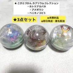 こびとづかん カプリウムコレクション ホトケアカバネ アメボウシ ベニキノコビト